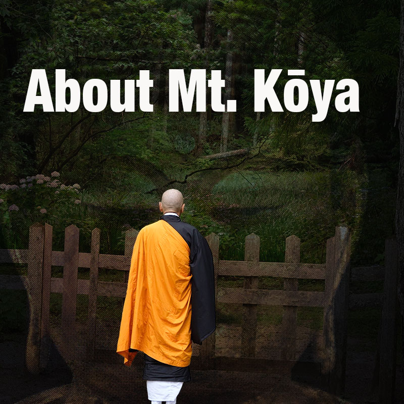 clickable button linking to the About Koyasan page