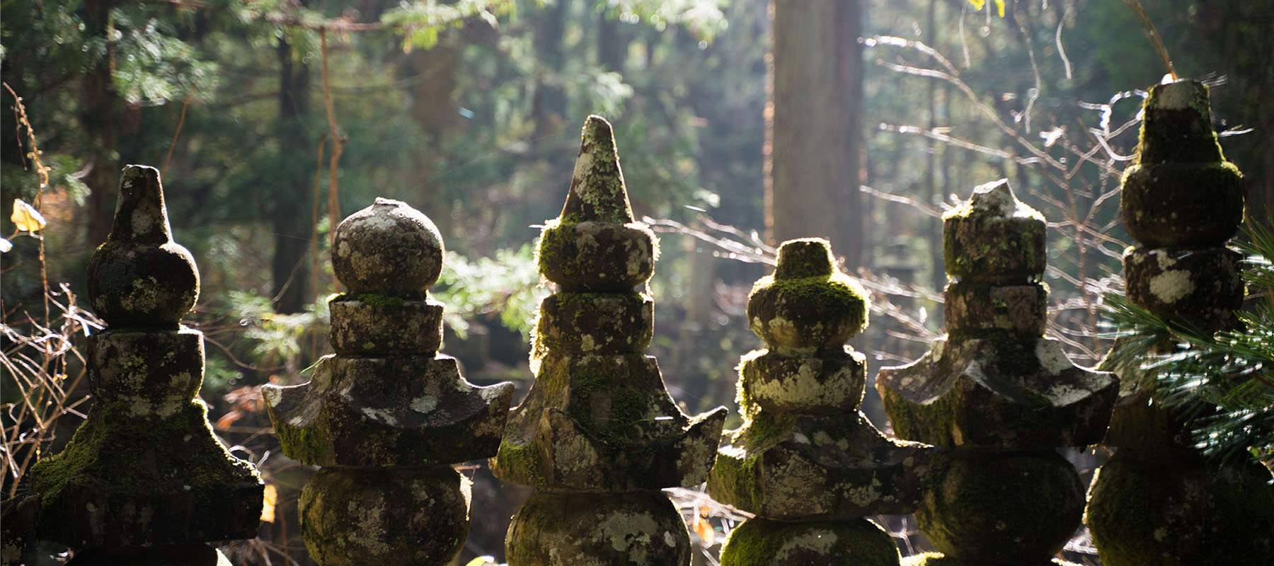 row of gorinto monuments at Mt. Koya's Oku-no-in