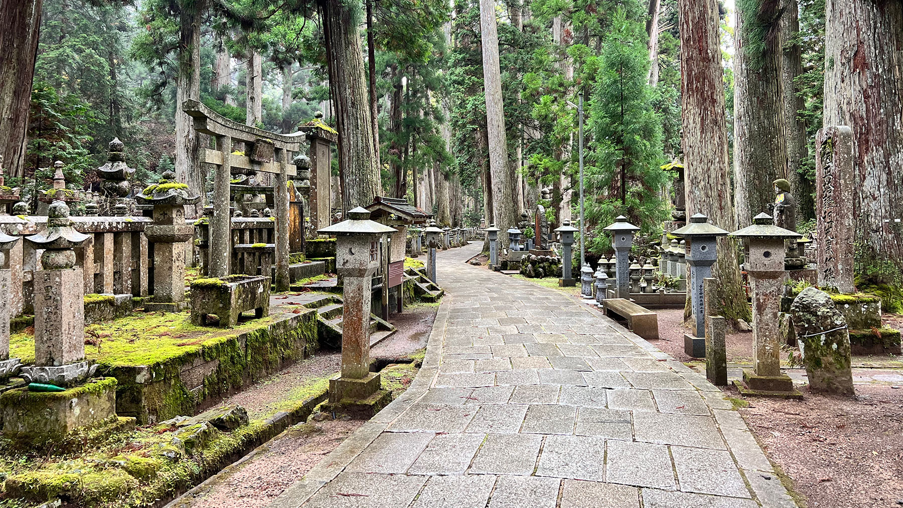 view of the oku-no-in sando path to the inner sanctuary at Mt. Koya