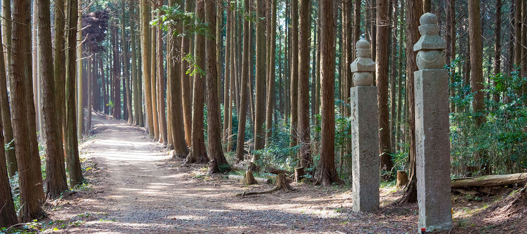 view of the path known as the choishimichi